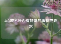 .info域名是否有特殊的限制或要求
