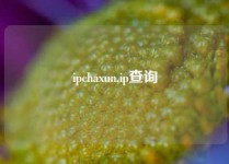 ipchaxun,ip查询
