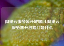 阿里云服务器开放端口,阿里云服务器开放端口是什么