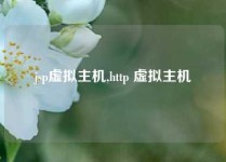 jsp虚拟主机,http 虚拟主机