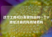这个工具可以帮我找出同一个IP地址注册的所有域名吗