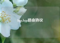 bgp,bgp路由协议
