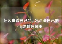 怎么查看自己的ip,怎么查自己的ip地址在哪里
