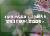 工信部域名备案,工信部域名备案管理系统怎么查询备案人