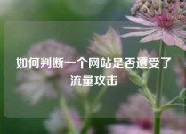 如何判断一个网站是否遭受了流量攻击