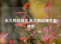 永久网站域名,永久网站域名有哪些