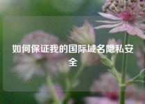 如何保证我的国际域名隐私安全
