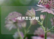 ssl证书怎么获取