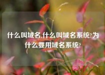 什么叫域名,什么叫域名系统?为什么要用域名系统?