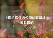 上海机房保洁公司的收费标准是怎样的