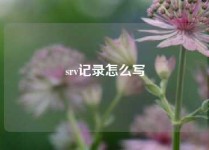 srv记录怎么写