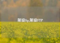 架设ftp,架设FTP