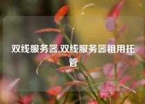双线服务器,双线服务器租用托管