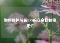 如何确保域名DNS的安全性和稳定性