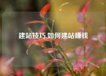 建站技巧,如何建站赚钱