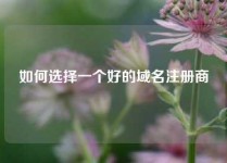 如何选择一个好的域名注册商