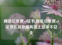 腾讯云免费ssl证书,腾讯云免费ssl证书在其他服务器上显示不安全