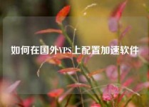 如何在国外VPS上配置加速软件