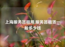 上海服务器租用,服务器租赁一般多少钱