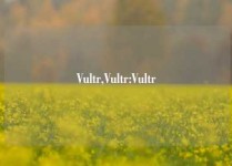 Vultr,Vultr:Vultr