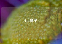 biz,鼻子