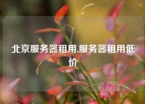 北京服务器租用,服务器租用低价
