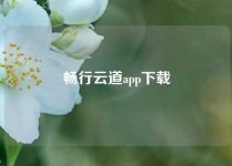 畅行云道app下载