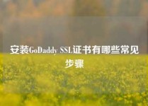 安装GoDaddy SSL证书有哪些常见步骤