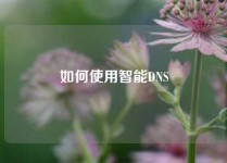 如何使用智能DNS