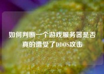 如何判断一个游戏服务器是否真的遭受了DDOS攻击
