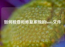 如何检查和修复系统的hosts文件