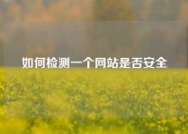 如何检测一个网站是否安全