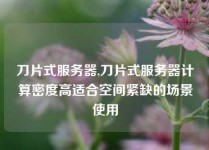 刀片式服务器,刀片式服务器计算密度高适合空间紧缺的场景使用