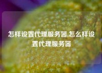 怎样设置代理服务器,怎么样设置代理服务器