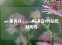 amd服务器cpu,amd服务器CPU能玩游戏吗