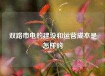 双路市电的建设和运营成本是怎样的
