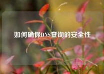如何确保DNS查询的安全性