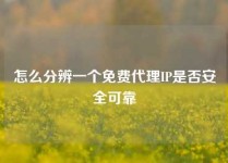 怎么分辨一个免费代理IP是否安全可靠