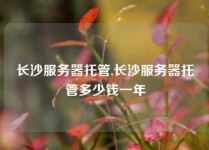 长沙服务器托管,长沙服务器托管多少钱一年