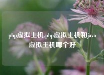 php虚拟主机,php虚拟主机和java虚拟主机哪个好