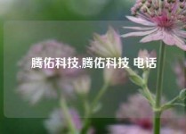 腾佑科技,腾佑科技 电话