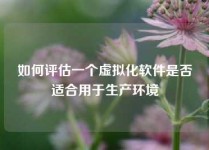 如何评估一个虚拟化软件是否适合用于生产环境