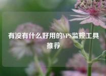 有没有什么好用的VPS监控工具推荐