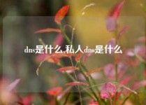 dns是什么,私人dns是什么