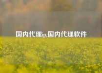 国内代理ip,国内代理软件