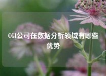 CGI公司在数据分析领域有哪些优势
