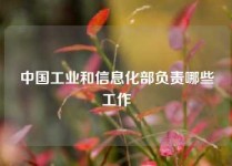 中国工业和信息化部负责哪些工作