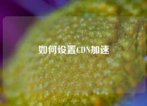 如何设置CDN加速