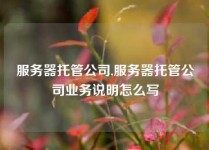 服务器托管公司,服务器托管公司业务说明怎么写