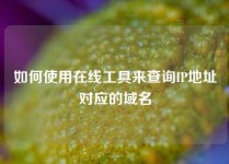 如何使用在线工具来查询IP地址对应的域名